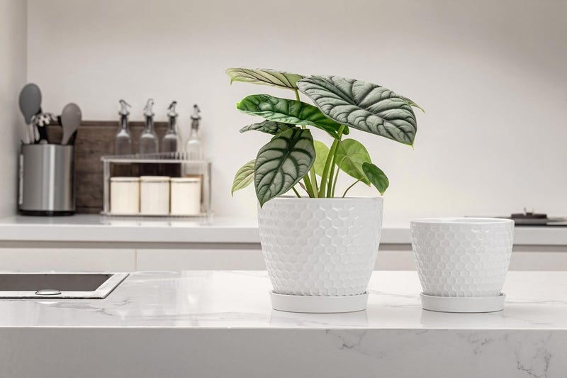 Docrin Store Ceramic Plant Pots Set of 2 (6.6"+5.5"), High-Fired Clay Indoor Planters with Drainage Holes & Saucer, Honeycomb Modern Home Decor for All House Plants - Image 5